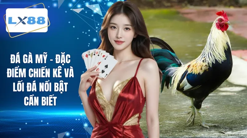 Đá Gà Mỹ - Đặc Điểm Chiến Kê Và Lối Đá Nổi Bật Cần Biết