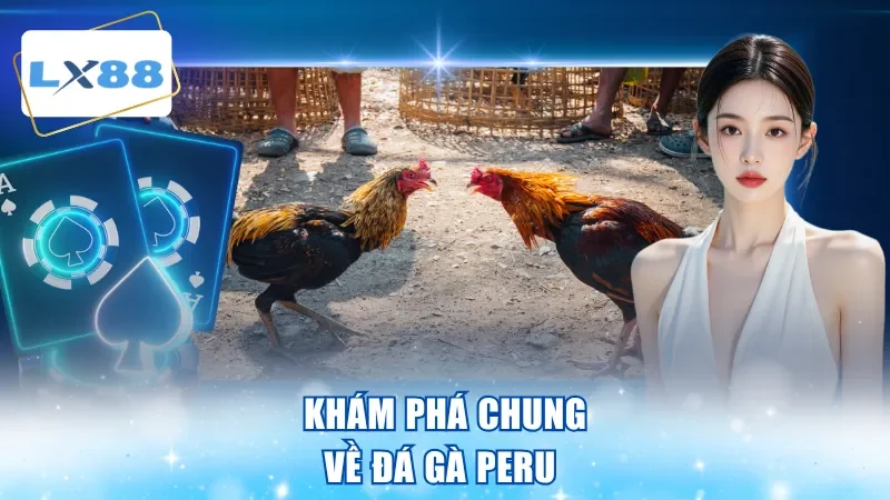 Khám phá chung về đá gà peru 