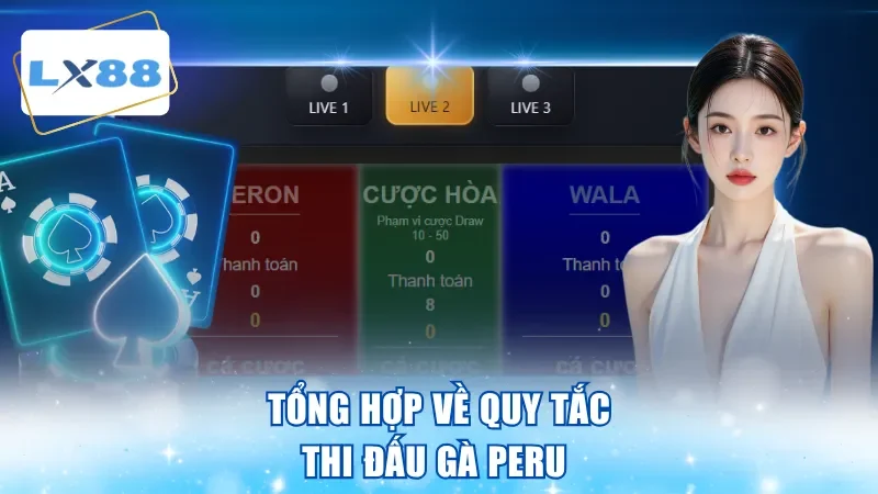 Tổng hợp về quy tắc thi đấu gà Peru